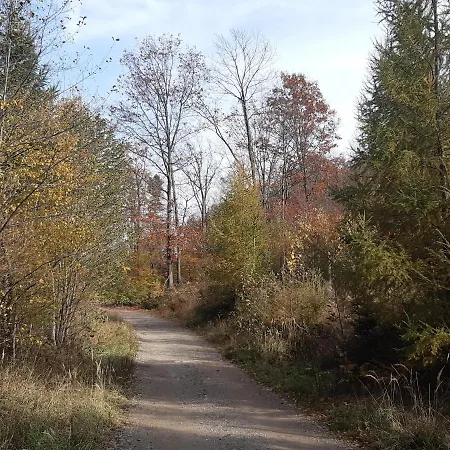 Bielskie Góry Apartamento *