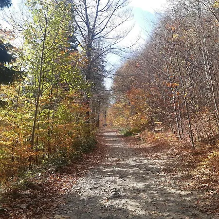 Lägenhet Bielskie Gory