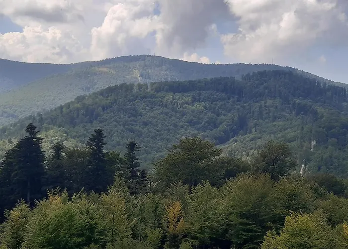 Apartmán Bielskie Gory