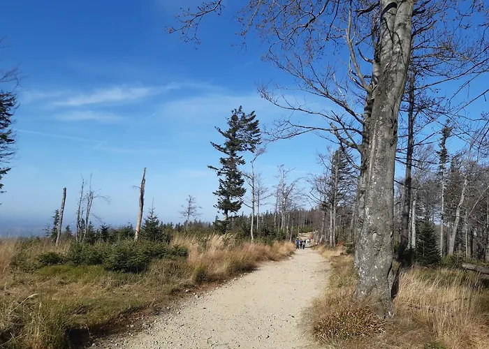 Bielskie Gory * Bílsko-Bělá