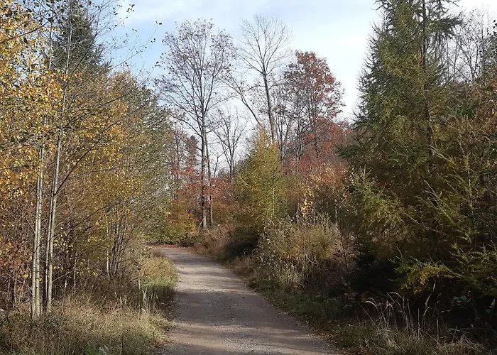 Bielskie Gory Apartmán *