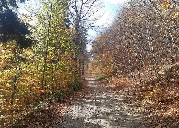 Apartmán Bielskie Gory